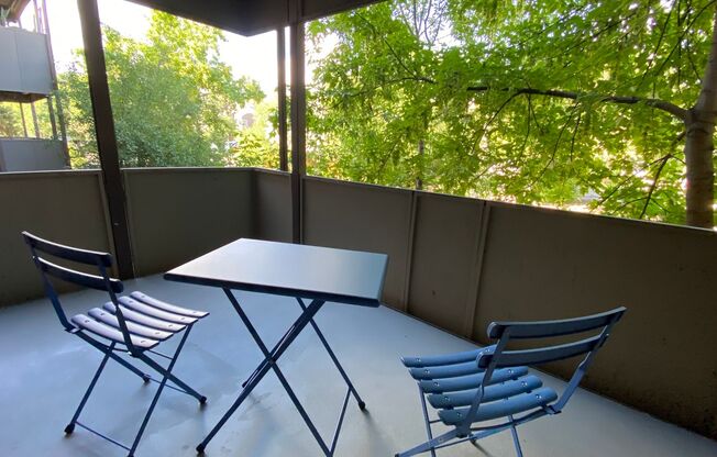 2 Bedroom 1 Bath - Blocks from Pearl Street and Downtown