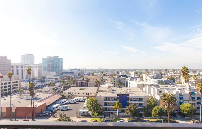 a cityscape of a city with buildings and palm trees