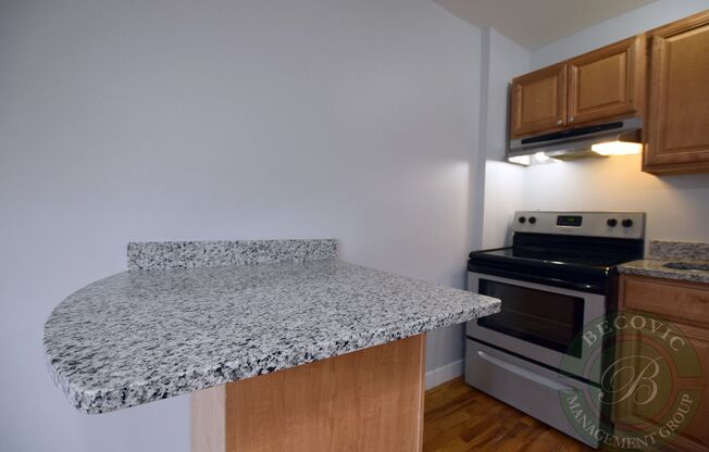 Studio, 1 bath, 250 sqft, $1,250, Unit 7450-34