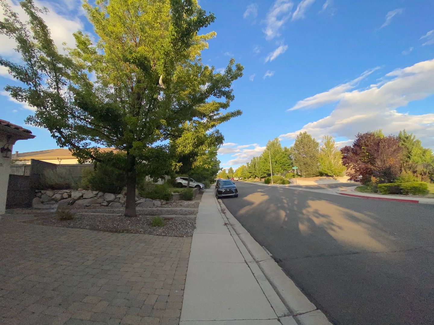 Top of the Hill - Gorgeous 5 Bedroom 3 Bath Reno House 3,160 sf