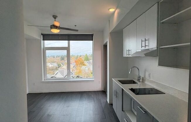 Studio, 1 bath, 261 sqft, $1,175, Unit 313