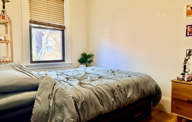 49 Saint Germain St.