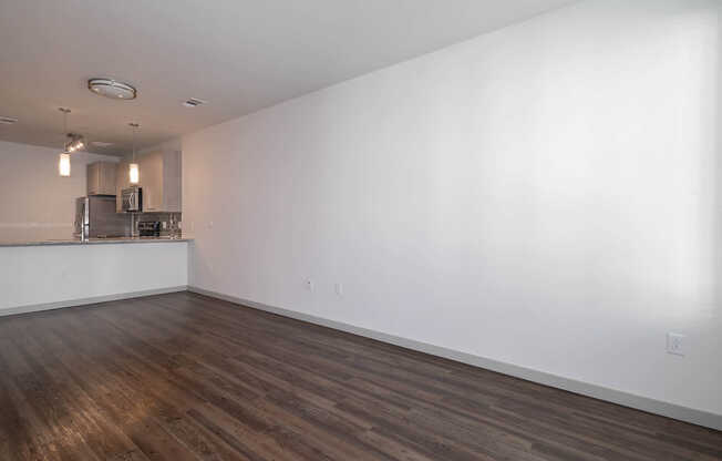 Living Area and Kitchen with Hard Surface Flooring