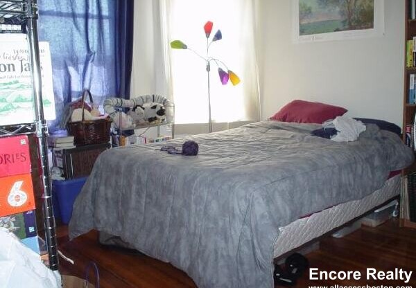 71 Harvard Ave, Allston MA 2
