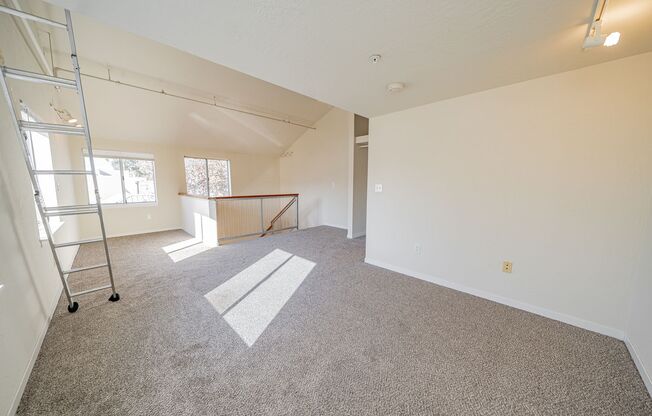 1 bed, 1 bath, $2,295, Unit 13