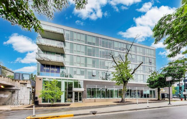 1 bed, 1 bath, 684 sqft, $2,950, Unit 311
