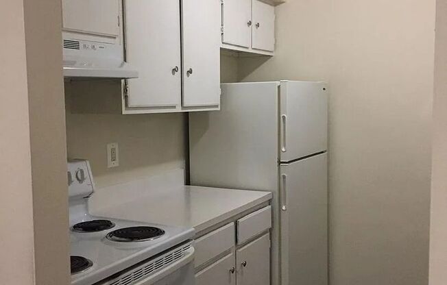 Willow Tree Apartments