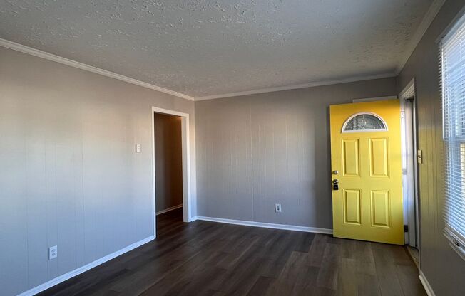 Newly Renovated 3 Bedroom 1 Bath Home in South Chesterfield Available Mid-July!