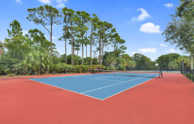 Tennis Court | Floresta