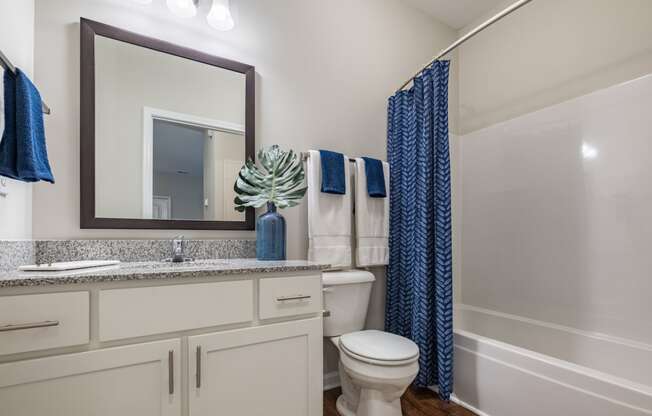 a bathroom with a toilet and a sink and a mirror