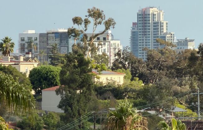 Studio, 1 bath, 468 sqft, $2,249, Unit 412