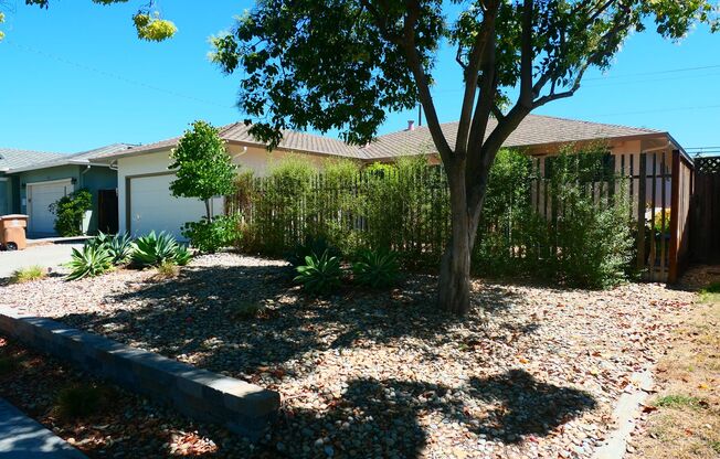 4 bedroom 2 bath! Forced air, hardwood floor throughout, Cupertino School!