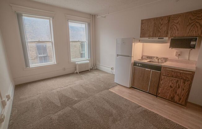 Studio, 1 bath, 195 sqft, $470, Unit 309