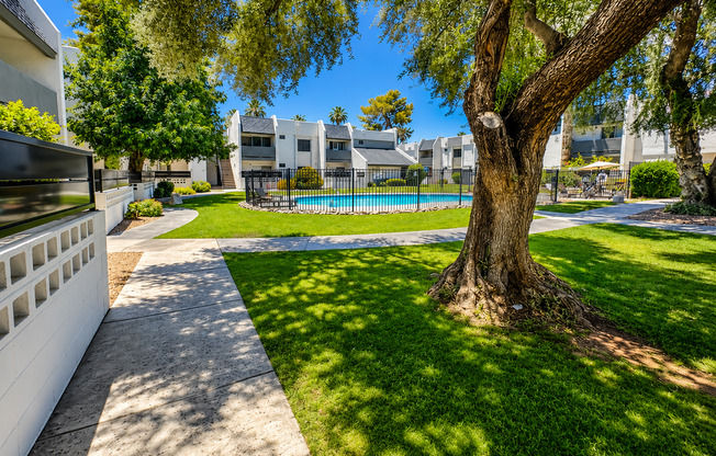 Studio, 1 bath, $1,095, Unit MV C 4