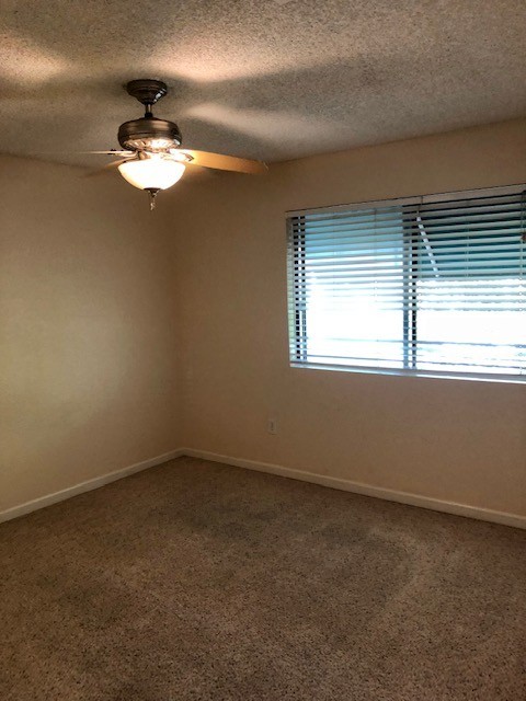 2 beds, 2 baths, $2,275