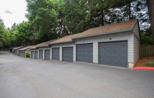 Martinazzi Village Detached Garages