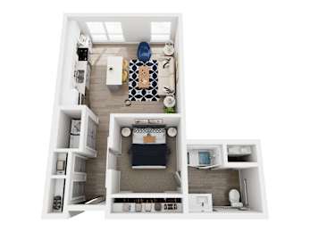 Studio, 1 bath, 625 sqft, $1,376