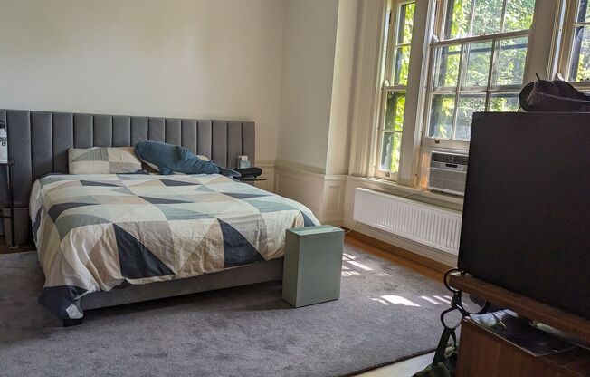 1 bed, 1 bath, 800 sqft, $1,750, Unit A21