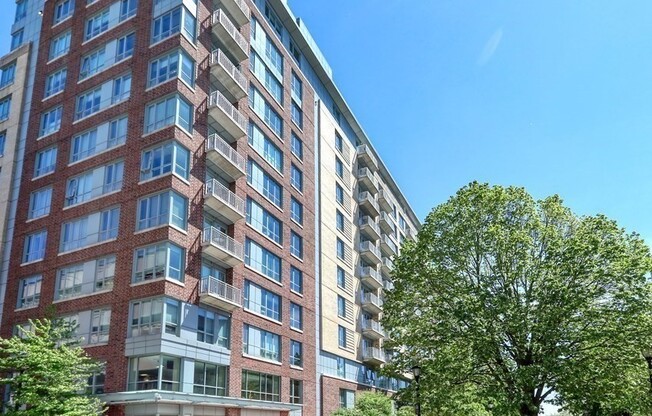 1 bed, 1 bath, 785 sqft, $2,699, Unit 705