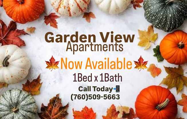 1 bed, 1 bath, 602 sqft, $2,095, Unit 24