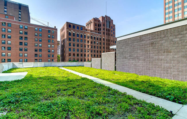 Green Roof at 805 N. Lasalle Drive, Chicago