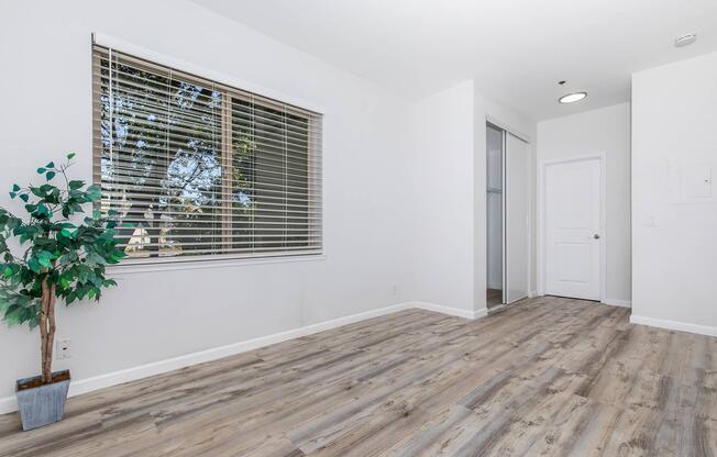 A bright, empty room featuring light wood flooring, a large window with blinds, and a potted plant in the corner. The walls are painted white, and there is a door leading to another area. Natural light floods the space, creating a welcoming atmosphere.
