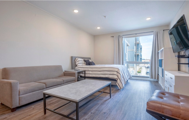 Studio, 1 bath, 495 sqft, $1,450