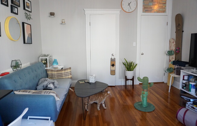 91 Gordon St