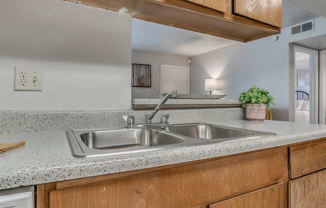 Stainless Steel Sink