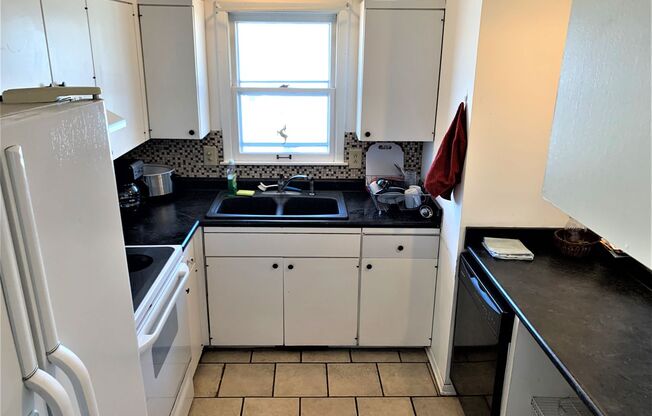 Washer & Dryer Included + Attached Garage + Fenced-in Backyard! Available August 1st!