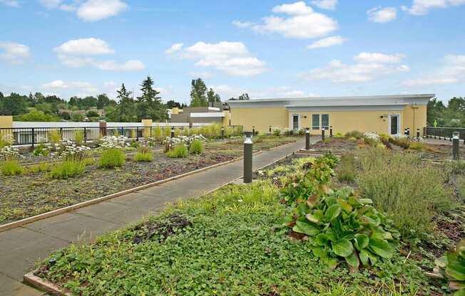 A landscaped rooftop garden here at Heritage Hills featuring winding paved walkways bordered by lush greenery, low shrubs, and flowering plants. The open-air space includes modern path lighting, black metal railings, and expansive views of nearby treetops and buildings beneath a bright blue sky with scattered clouds.