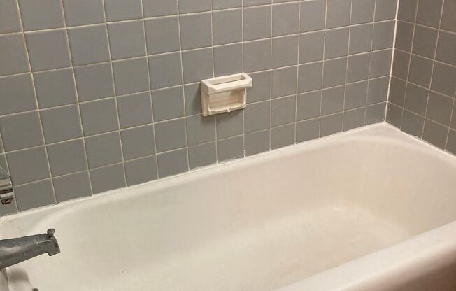 1 bed, 1 bath, $1,029, Unit 3850-011