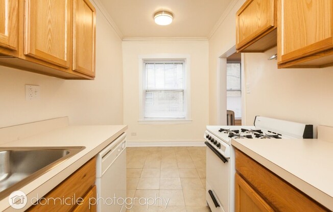 903 W Altgeld St, Chicago IL 3B