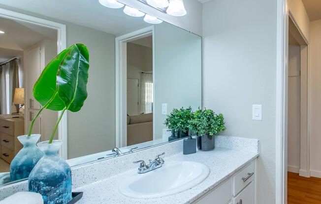 A modern bathroom with a white countertop and a white sink. Two decorative vases, one with a green leaf and another with small plants, are placed on the counter. A large mirror reflects the space, and light fixtures are visible above. The walls are painted in a neutral tone, adding to the contemporary feel.
