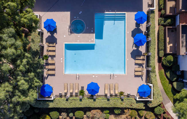 An aerial view of a pool surrounded by trees and umbrellas.
