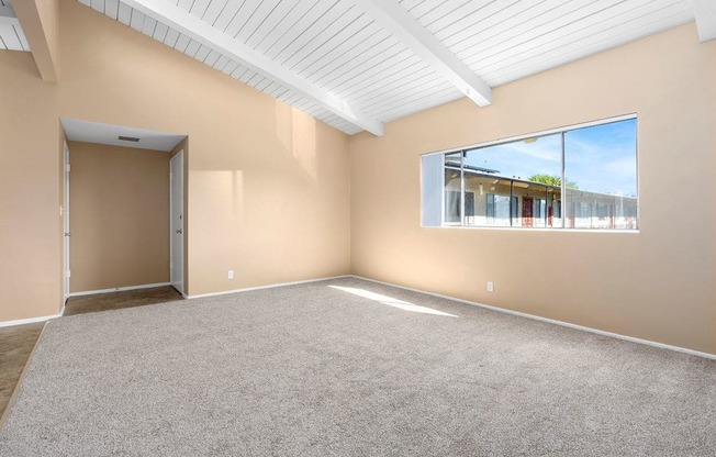 Carpeted Living Room at St. Andrews Apartmens