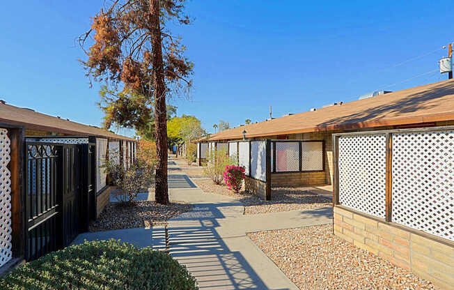 A row of houses with a tree in the middle.