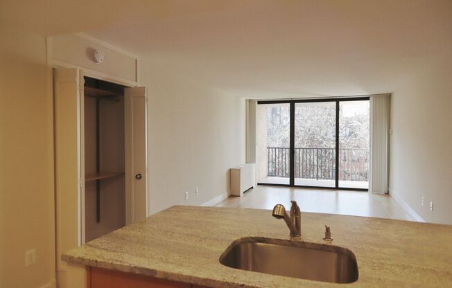 Studio, 1 bath, 460 sqft, $2,800, Unit 0524