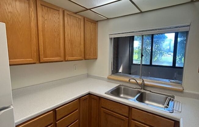 2 beds, 2 baths, $1,600, Unit Wood Hollow Condos