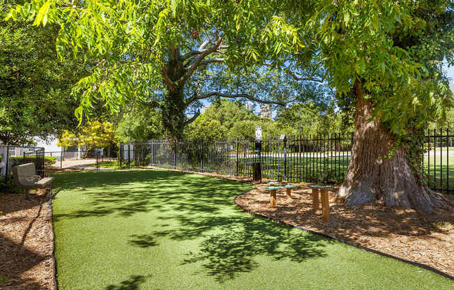 Pet-friendly community with dog park - Evergreen Lenox Park