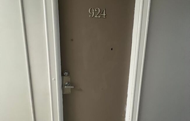 Studio, 1 bath, 224 sqft, $1,075, Unit 924