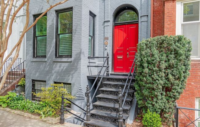 Private Renovated English Basement w/Shared Patio Steps to Dupont