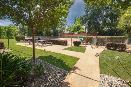 Picnic tables near the pet park