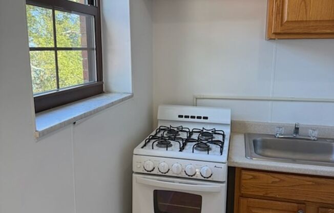 Studio, 1 bath, 487 sqft, $1,300, Unit Fifth 308