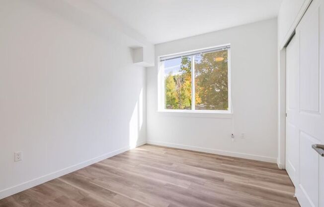 1 bed, 1 bath, 569 sqft, $1,595, Unit 404
