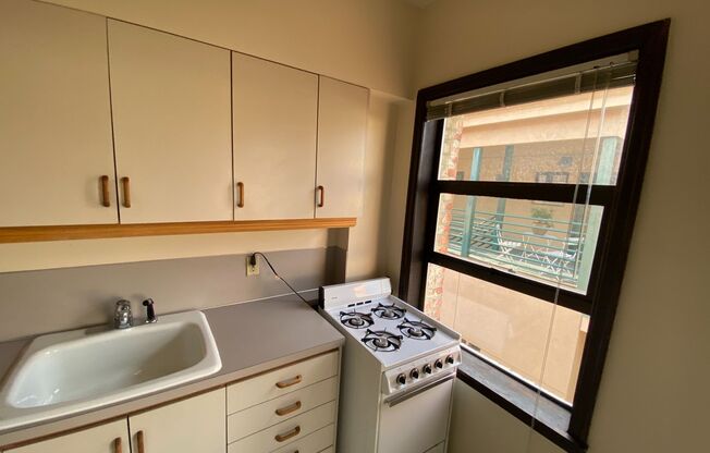 Studio, 1 bath, 350 sqft, $1,395, Unit 203 (#16)