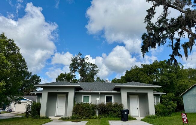 Gorgeous, Modern 2/2 Duplex in Orange City!