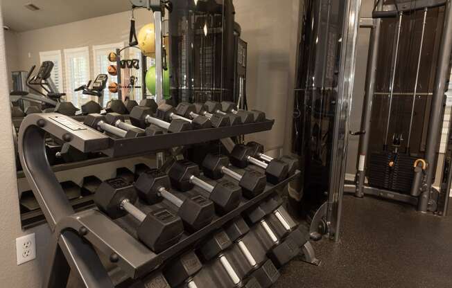 Stanford Heights fitness center free weights and rack