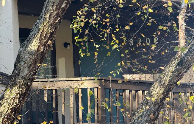 Beautiful Condo minutes from Uptown Charlotte