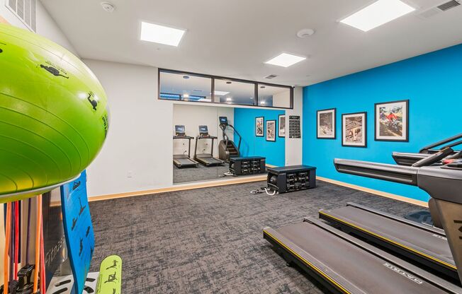 1 bed, 1 bath, 773 sqft, $1,582, Unit Unit 312